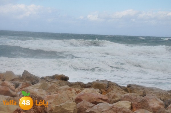 yaffa rain 1211 (26).JPG